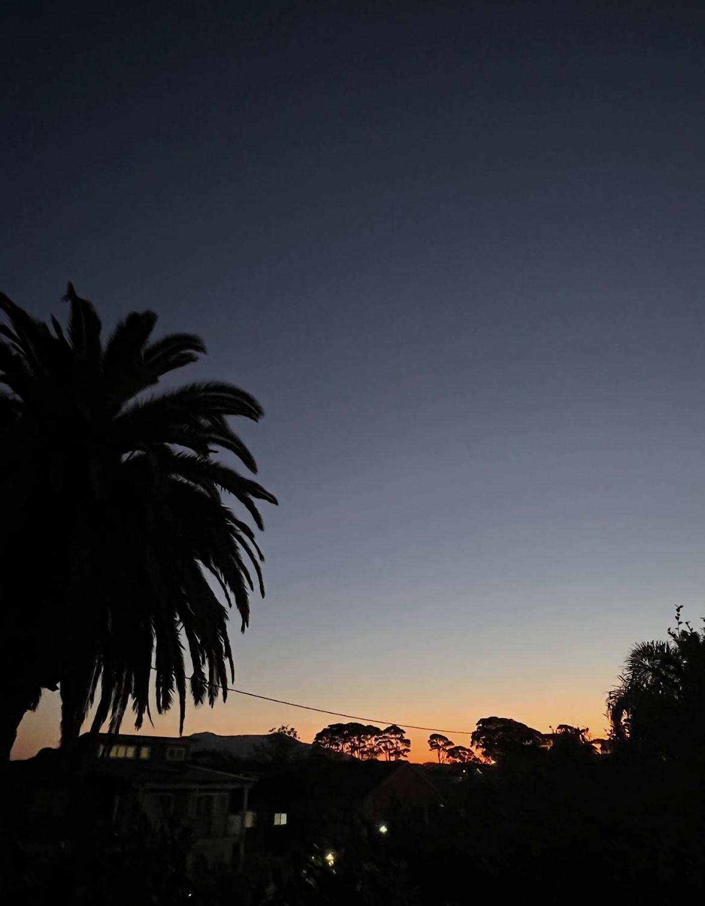 Narooma Palms Holiday Apartments Bagian luar foto